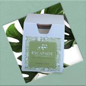ESCAPADE Bougie Parfumée 170gr ANANAS GIVRE