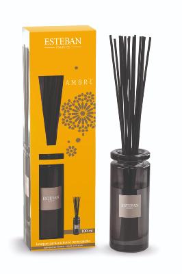 NOUVEAU Bouquet parfumé initial 100ml Ambre