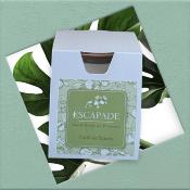 ESCAPADE Bougie Parfumée 170gr FORÊT DE SAPINS
