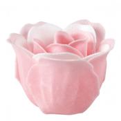Coffret de 12 Roses en Feuilles de Savon Rose