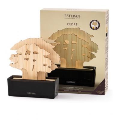 NOUVEAU Coffret mon arbre à parfum et sa recharge CEDRE