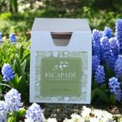 ESCAPADE Bougie Parfumée 170gr JACINTHE BLEUE
