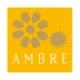 Recharge pour bouquet 250ml Ambre