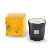Bougie parfumée 450gr Ambre