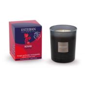 NOUVEAU Bougie parfumée rechargeable 170gr ROUGE CASSIS