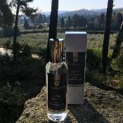 Parfum d'Intérieur 100ml Thé - Mandarine