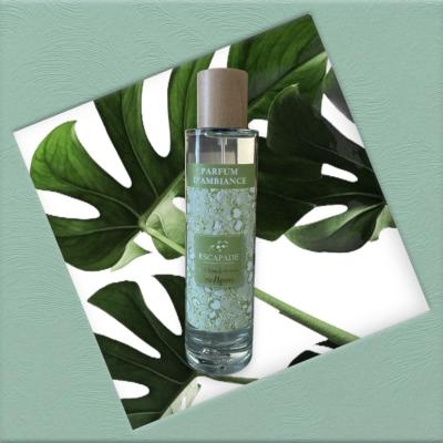 ESCAPADE Parfum d'Ambiance 100ml ZESTE D'AGRUMES