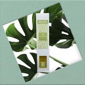 ESCAPADE Diffuseur d'Ambiance 100ml FRANGIPANIER DU LAOS