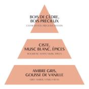 Décor Parfumé Grand Papillon Marquise