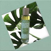 ESCAPADE Parfum d'Ambiance 100ml CANNELLE ORANGE