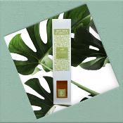 ESCAPADE Diffuseur d'Ambiance 100ml ANANAS GIVRE