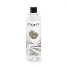 Recharge bouquet 250ml Rêve Blanc