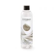 Recharge bouquet 250ml Rêve Blanc