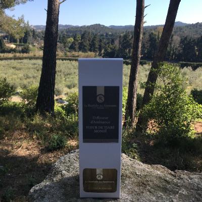 Diffuseur d'Ambiance 100ml Fleur de Tiaré - Monoï