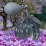 Vapo Poire 60ml Fleur de Coton