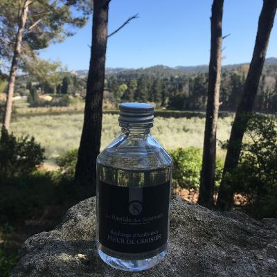 Recharge d'Ambiance 250ml Fleur de Cerisier
