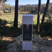 Parfum d'Intérieur 100ml Lavande en Fleurs
