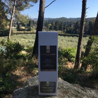 Diffuseur d'Ambiance 100ml Figue de Provence