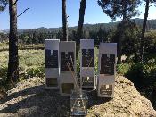 Diffuseur d'Ambiance 100ml Figue de Provence