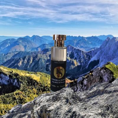 Parfum d'Ambiance 100ml Feuille de Tomate 