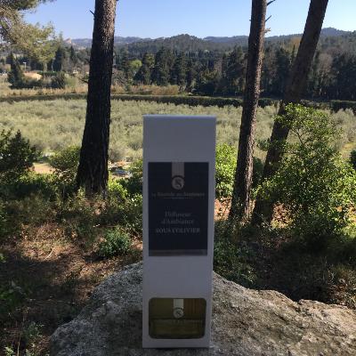 Diffuseur d'Ambiance 100ml Sous l'Olivier