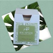 ESCAPADE Bougie Parfumée 170gr FREESIA DU CAP