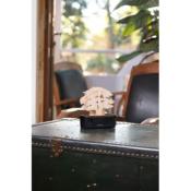 NOUVEAU Coffret Mon Arbre à Parfum et sa recharge FIGUE NOIRE