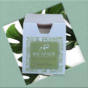 ESCAPADE Bougie Parfumée 170gr JACINTHE BLEUE