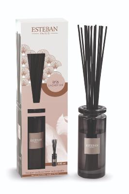 Bouquet initial parfumé Iris et Cachemire 100ml