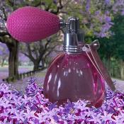 Vapo Poire 12ml Rose Eternelle