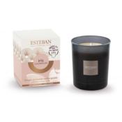 Bougie parfumée rechargeable 170gr Iris et Cachemire