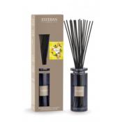 Bouquet parfumé initial Terre d'Agrumes 75ml